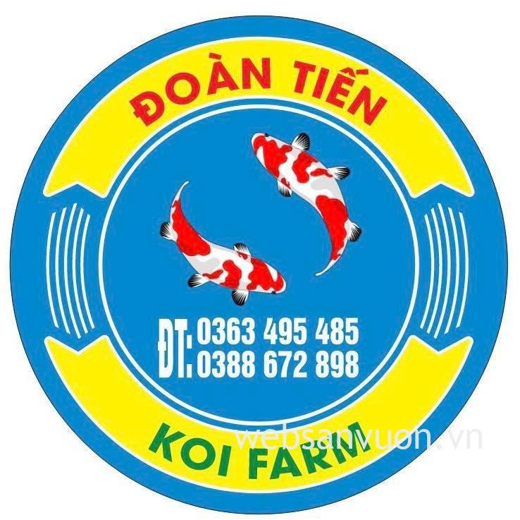 Đoàn Tiến Koi Farm