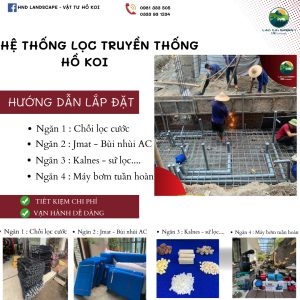 he thong loc nuoc ho ca koi ngoai troi 2